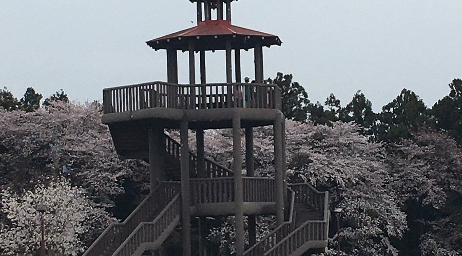 🌷 그린 플라워 목장 휴게소・오고(미치노에키 그린 플라워 보쿠조・오고) 이미지 7